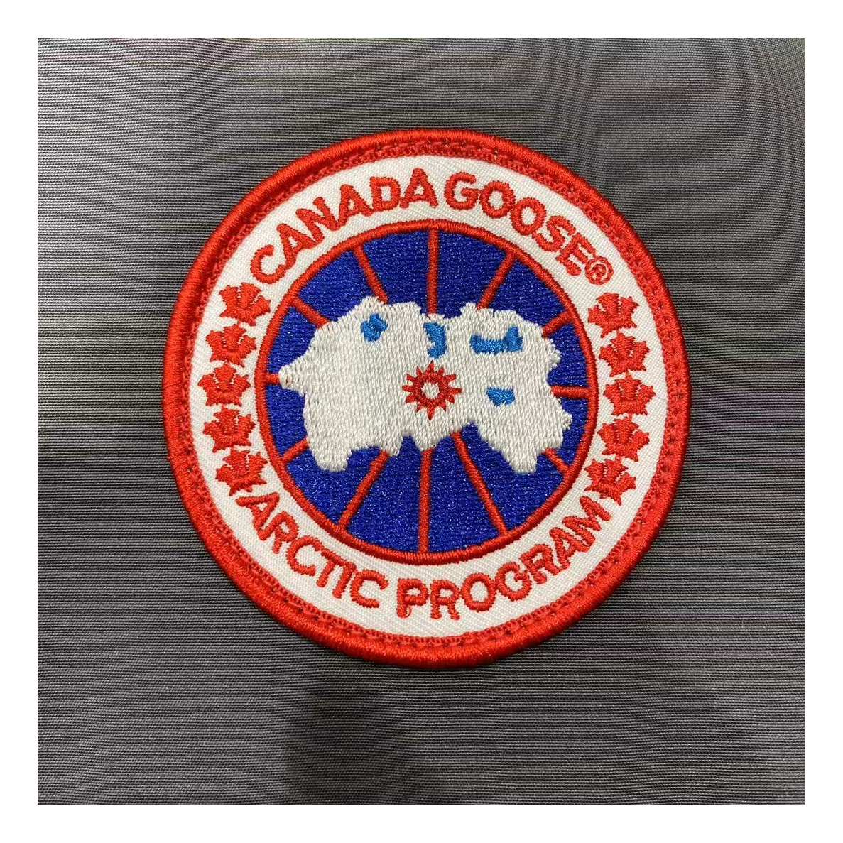 Canada Goose Women's Trillium Parka with Fur-Trimmed Hood