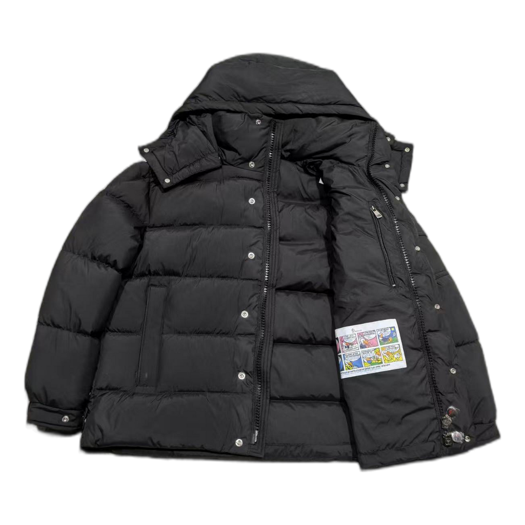 Moncler Matte Snap-Front Hooded Down Puffer
