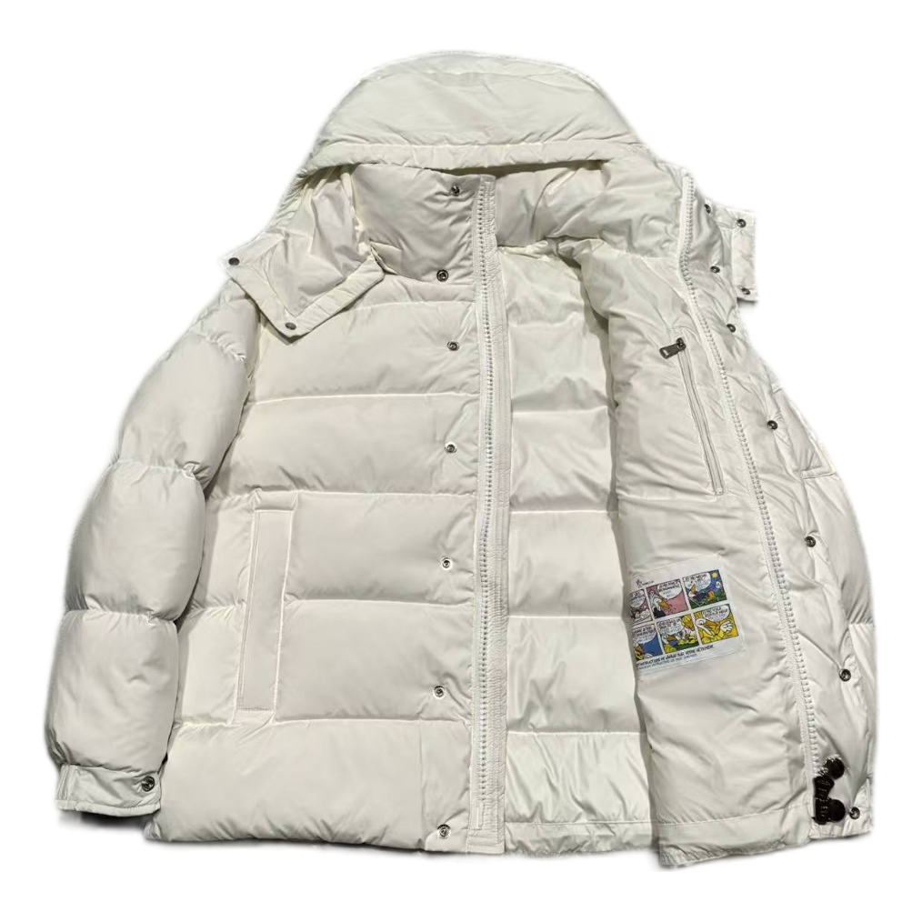 Moncler Matte Snap-Front Hooded Down Puffer